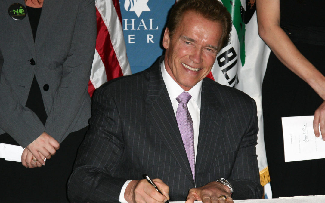 Arnold Schwarzenegger On Internet Business Success [LNIM171]