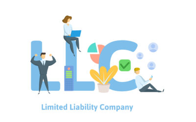 Should You Set Up an LLC for Your Online Business? [LNIM219]