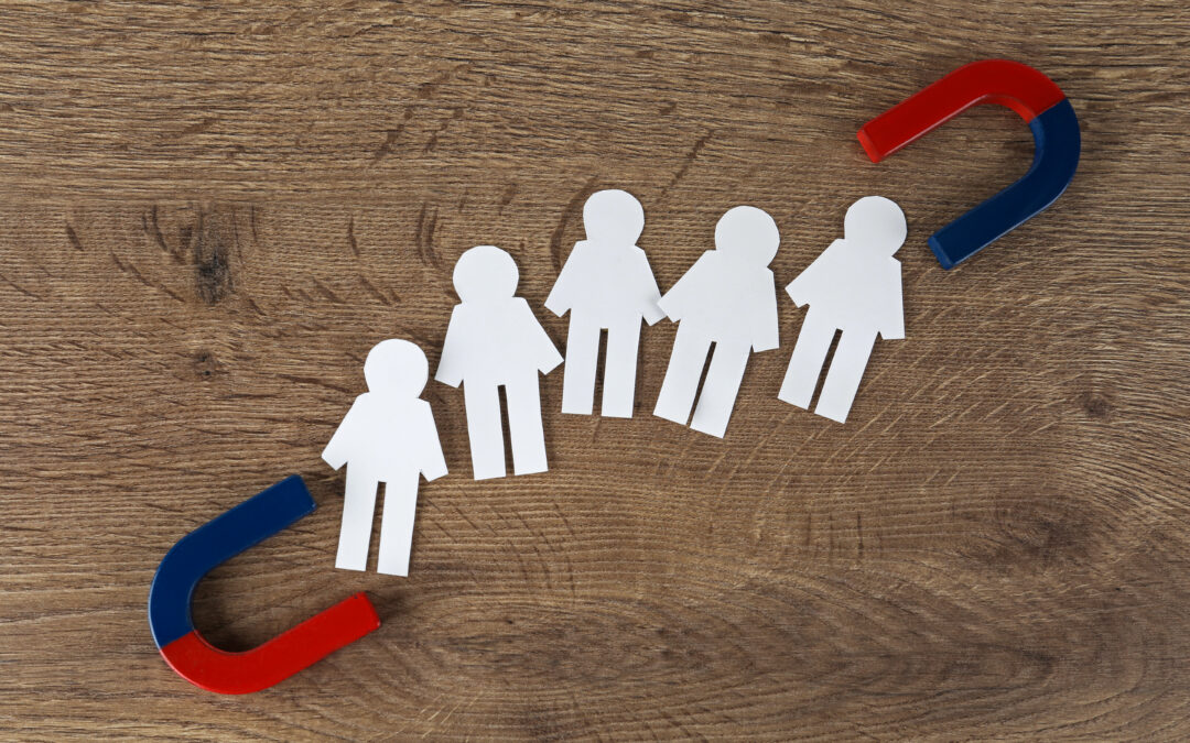 Lead Magnets: 10 Amazing Lead Magnet Ideas and Why You Need One [LNIM224]