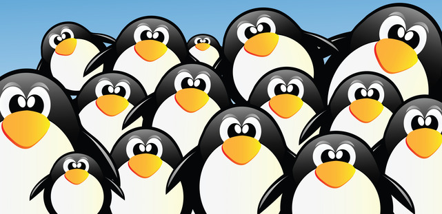 Google Penguin 3.0 Update: What You Need to Know