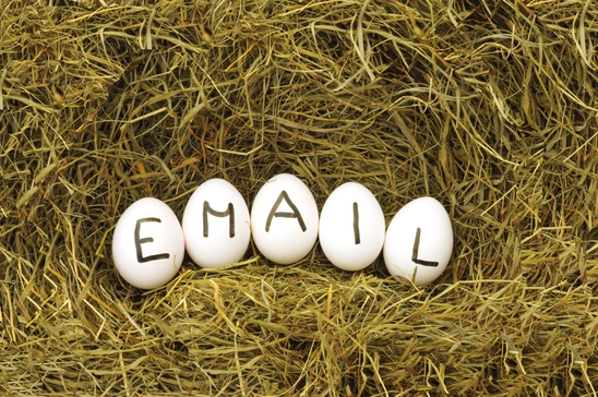 What Chick-fil-A Can Teach You About Email Opt-Ins